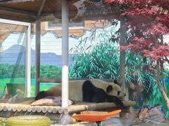 -苏州太湖国家湿地公园