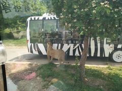 -西安秦岭野生动物园