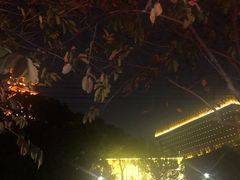 -中国沉香文化博物馆