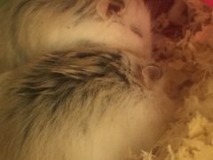 -龙猫仔乐园(惠福东路店)