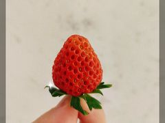 -杭州大厦LSE城市生活超市(杭州大厦店)