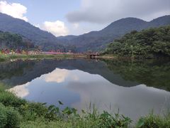 -广州市石门国家森林公园