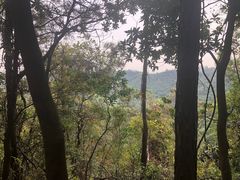 -滴水岩森林公园