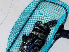 -鑫鸿达·海鲜闽菜热炒小馆(中山路店)