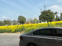 -湖畔人家•老溧阳菜馆(茅山景区外店)