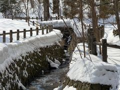 -北海道神宫