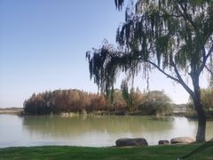 -贡湖湾湿地公园