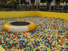 -南宫五洲植物乐园