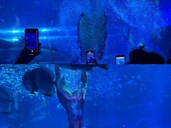 -海合安天津极地海洋公园