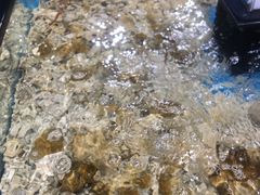 -盒马鲜生(曜一城店)