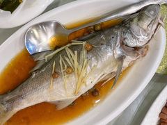破布子午鱼-光头匠