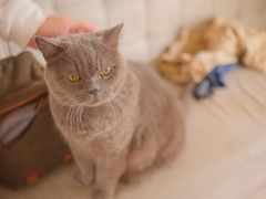 -Rabbit Cafe私房西餐甜点咖啡(栖霞路店)