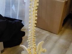 -超鹿运动(融侨锦江店)