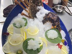 -粤凤佬