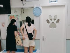 -达爱动物医院·犬猫分区·CT·复杂眼科(远洋山水分院)