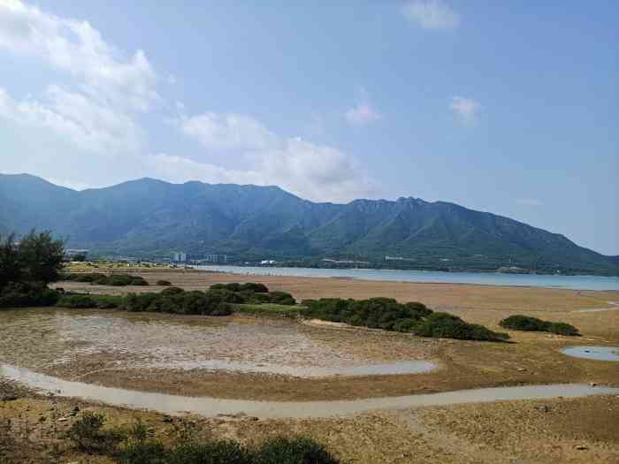 坝光海滩-"只能说目前3颗星!周边都在重整中,大片大."-大众点评移动版