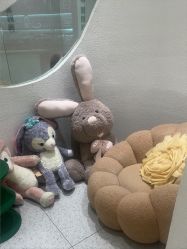 -薇薇安花系SPA