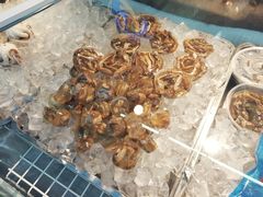 -铭聚章鱼土笋冻(松柏店)