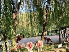 -河北村民俗体验园