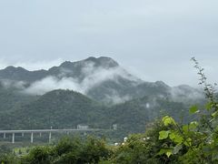 -中国宣纸文化园