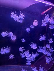 -Zoolung Zoolung动物主题公园(海信广场店)