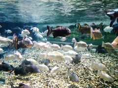 -成都浩海立方海洋公园