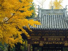 -汇龙潭