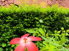 -广州神农草堂中医药博物馆