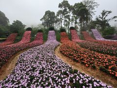 -广州市石门国家森林公园