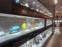 -陕西自然博物馆