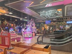 -卡通尼·Safari非洲探索乐园·生日会(金桥国际商业广场店)