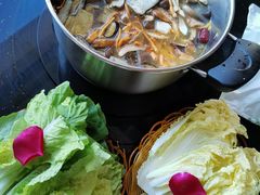 -野菌皇海景野生菌火锅(滨海大道店)