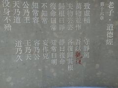 -上海观复博物馆