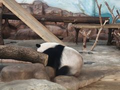-南宁市动物园