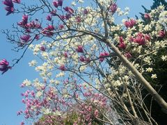 -堤角公园
