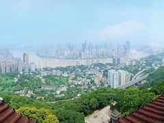 -南山植物园