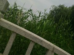 android_upload_pic-江南大学(蠡湖校区)