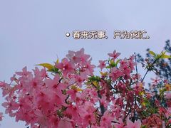 -狐尾山公园