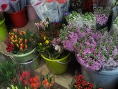 -循礼门鲜花花市(武汉循礼门店)