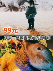 -恐龙探索乐园(磁器口店)
