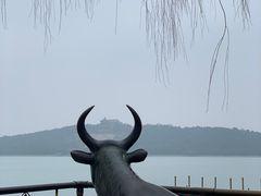 -颐和园