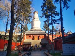 -五台山风景名胜区