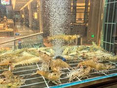 -金贵源食神(楚河汉街店)