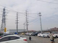 -大队长大灶鹅