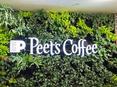 -Peet's Coffee皮爷咖啡(德基店)