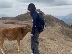 -天龙顶山地公园