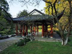 -杭州植物园