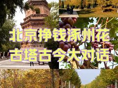 -辽代双塔