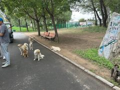 -北京京辉高尔夫俱乐部有限公司