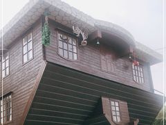 -金山农民画村-枫泾波兰倒置屋